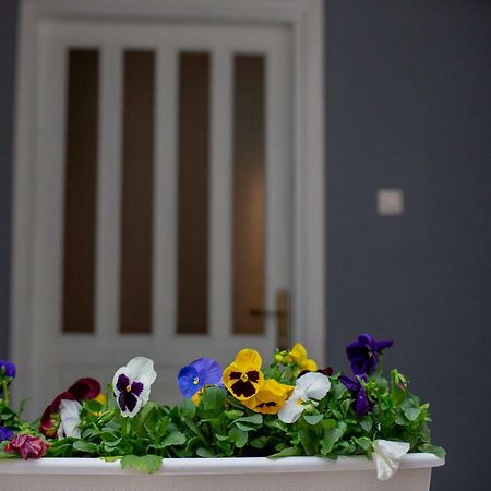 Apartmani Sunset Rogotin Екстериор снимка