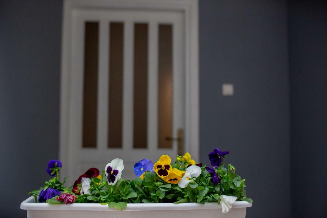 Apartmani Sunset Rogotin Екстериор снимка